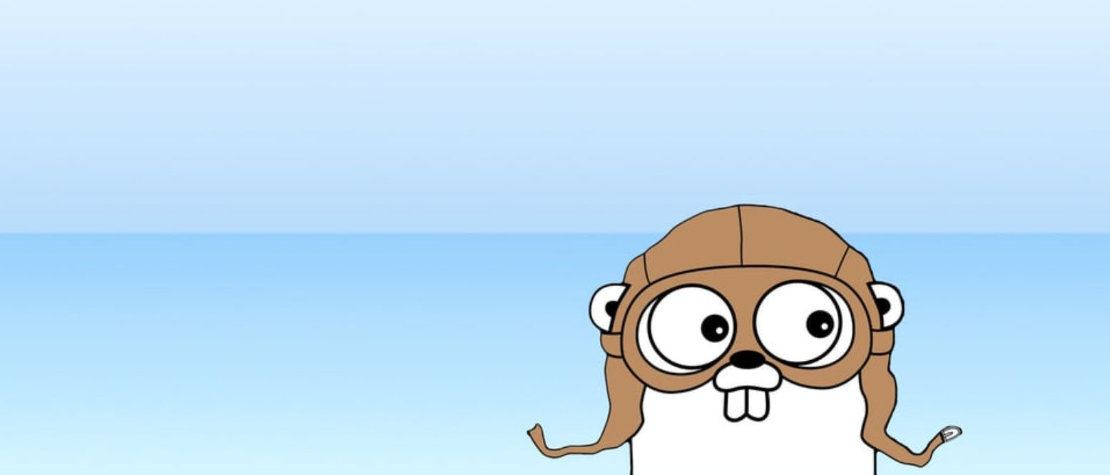 picture taken from https://dev.to/eichgi/golang-discussion-239l