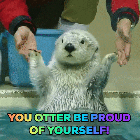 GIF taken from this site: https://giphy.com/gifs/good-job-congratulations-otter-ely3apij36BJhoZ234